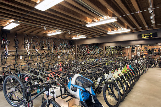 Bicycle Repair Shop «PRO BIKE+ South Hills», reviews and photos, 102 Fort Couch Rd, Pittsburgh, PA 15241, USA