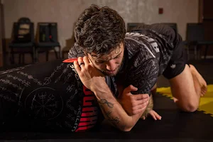 Berserkur Brazilian Jiu-jitsu & Yoga image