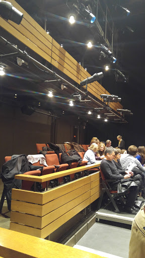 Performing Arts Theater «Arthur Miller Theatre», reviews and photos, 1226 Murfin Ave, Ann Arbor, MI 48109, USA