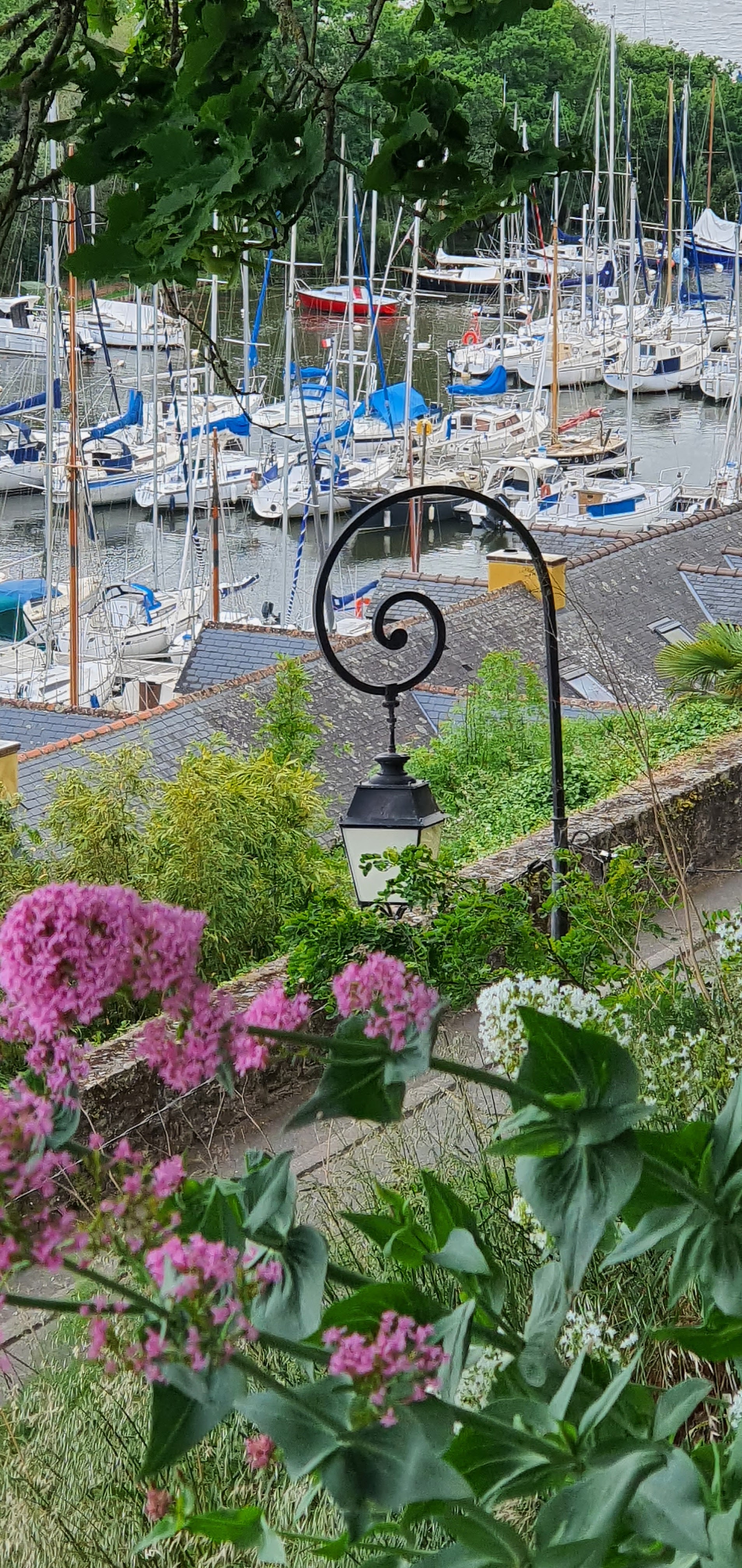 Photo n° 1 de l'avis de Alain.e fait le 25/05/2022 à 15:48