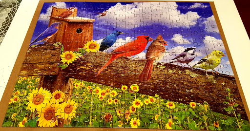 Dollar Store «Dollar Tree», reviews and photos, 1350 S Park Victoria Dr #10, Milpitas, CA 95035, USA