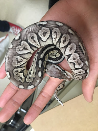 Pet Supply Store «Petco Animal Supplies», reviews and photos, 5975 20th St, Vero Beach, FL 32966, USA