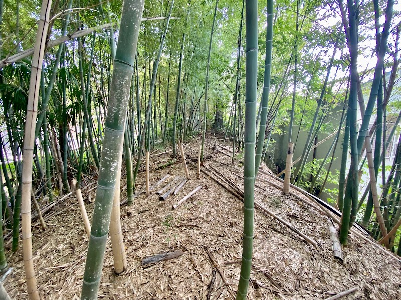 高屋城二ノ丸土塁址