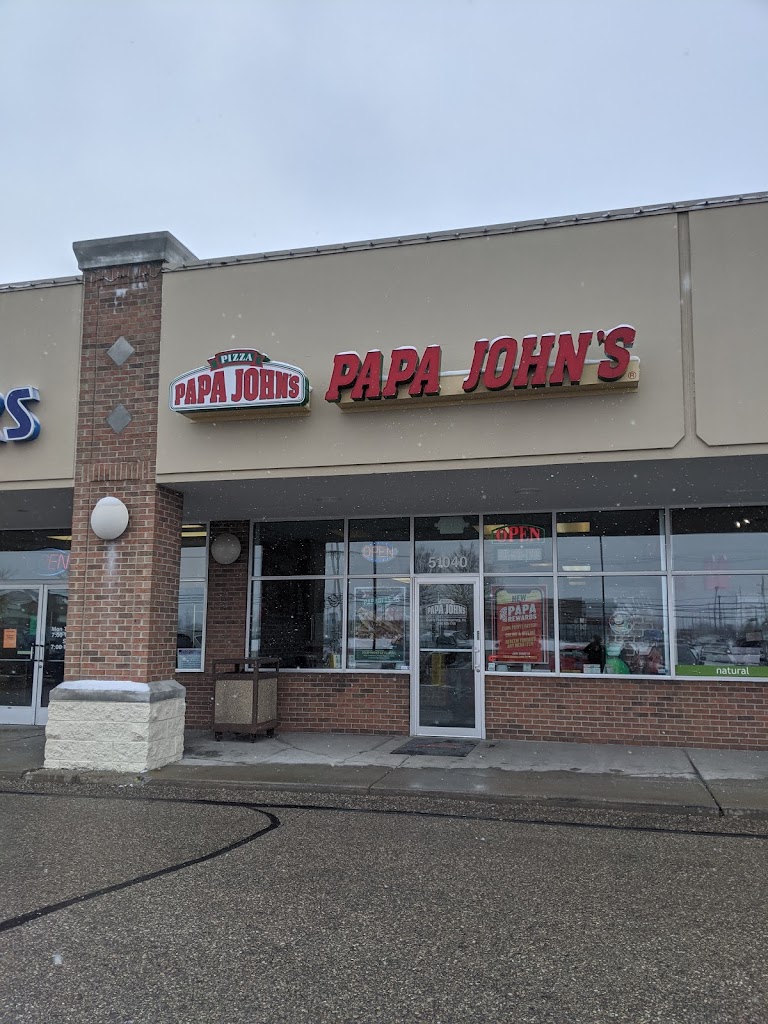 Papa Johns Pizza 48042
