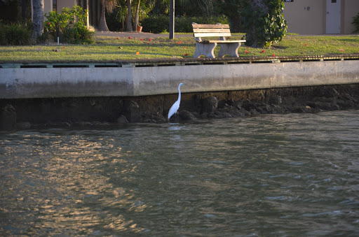 Boat Tour Agency «Good Time Charters», reviews and photos, 4765 Estero Blvd, Fort Myers Beach, FL 33931, USA