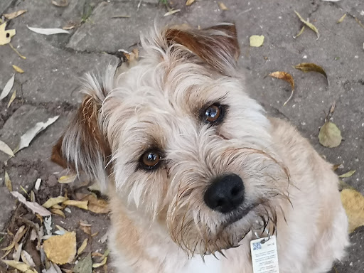 Dr.med.vet. Beate Finkbeiner unter Meerbeck, Niedersachsen