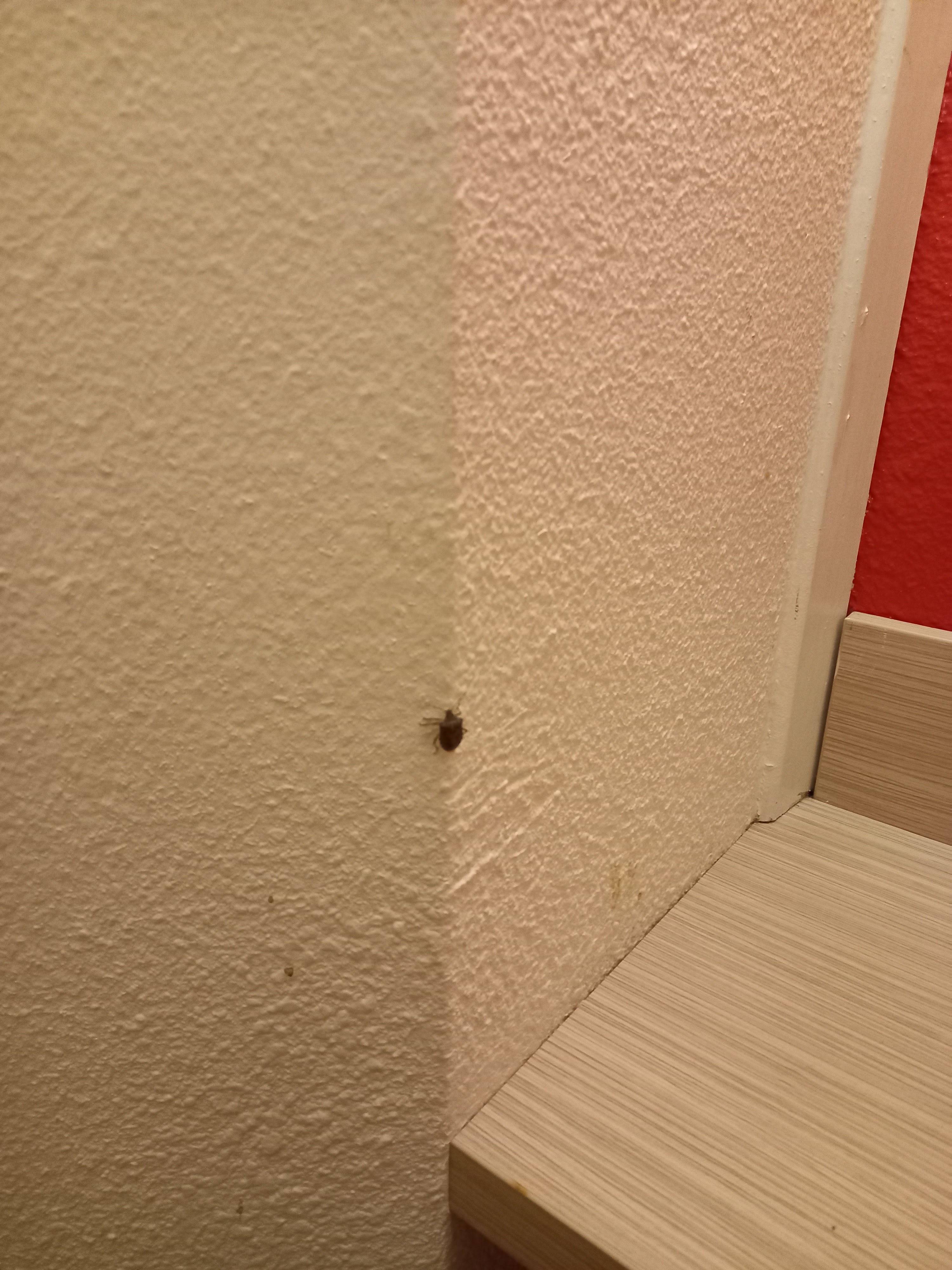 Photo n° 1 de l'avis de Fiona.a fait le 22/03/2023 à 22:26
