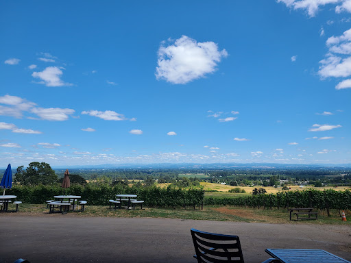 Winery «Redhawk Vineyard & Winery», reviews and photos, 2995 Michigan City Ln NW, Salem, OR 97304, USA