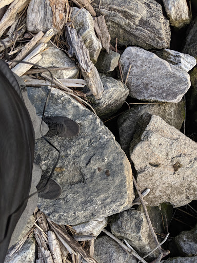 Park «Matthiessen Park», reviews and photos, 1 Bridge St, Irvington, NY 10533, USA