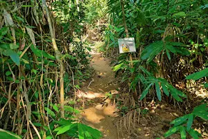 Kata-Karon Hiking Trail image