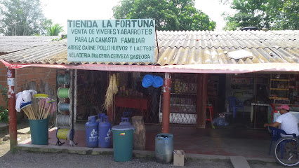Tienda La Fortuna
