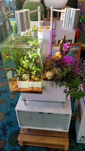 Pet Store «Ark Pet Shop», reviews and photos, 2400 W Lincoln Hwy, Merrillville, IN 46410, USA