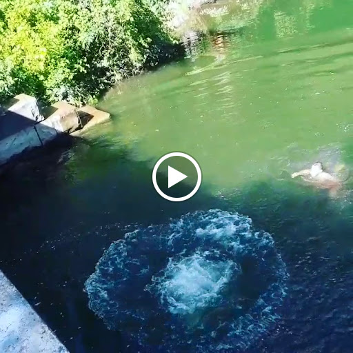 Nature Preserve «Canawaugus Park», reviews and photos, Rochester St, Scottsville, NY 14546, USA