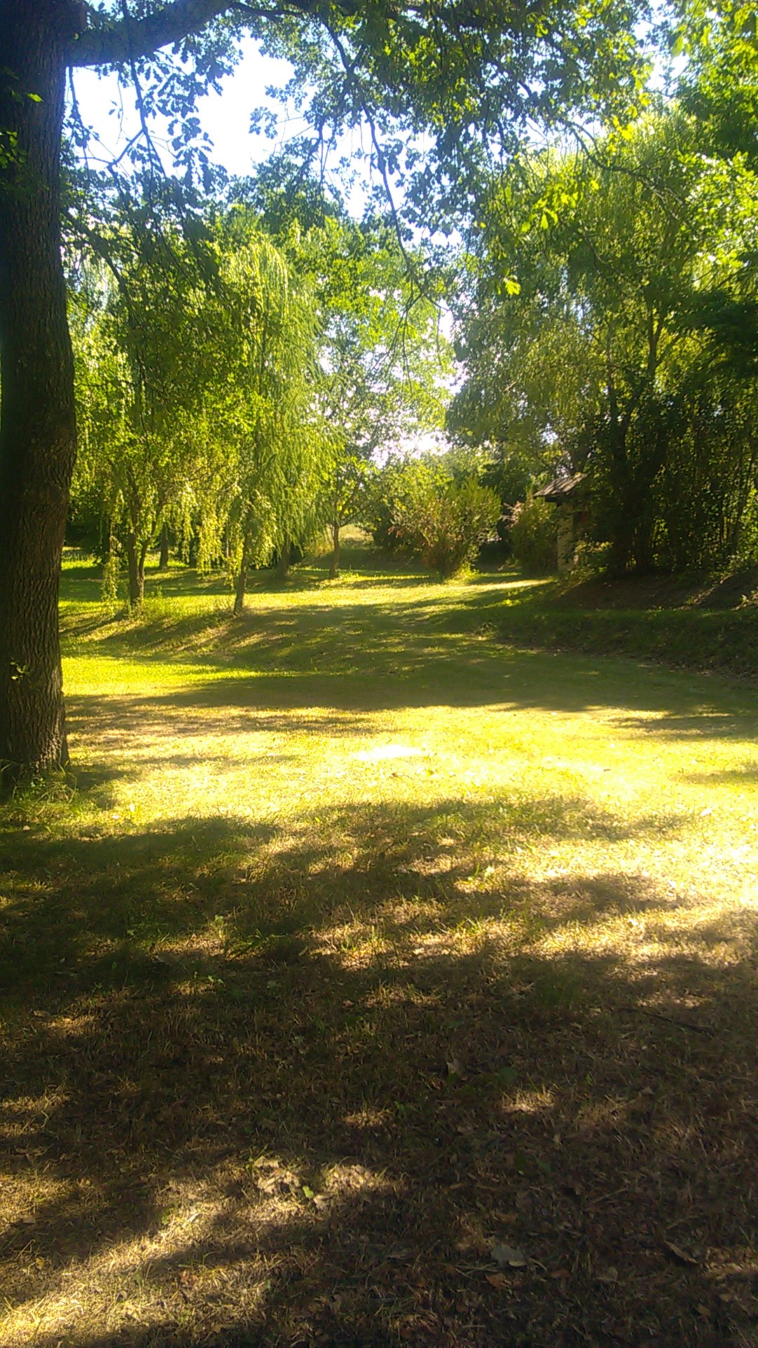 Photo n° 1 de l'avis de pyrochon.r fait le 14/07/2019 à 09:25
