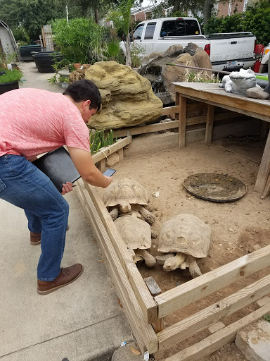 Pet Store «Fish-N-Pets Unlimited», reviews and photos, 11710 Bissonnet St, Houston, TX 77099, USA