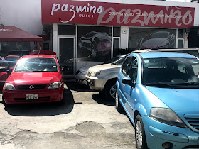 PAZMIÑO autos