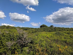 Sachuest Point National Wildlife Refuge - photo 9