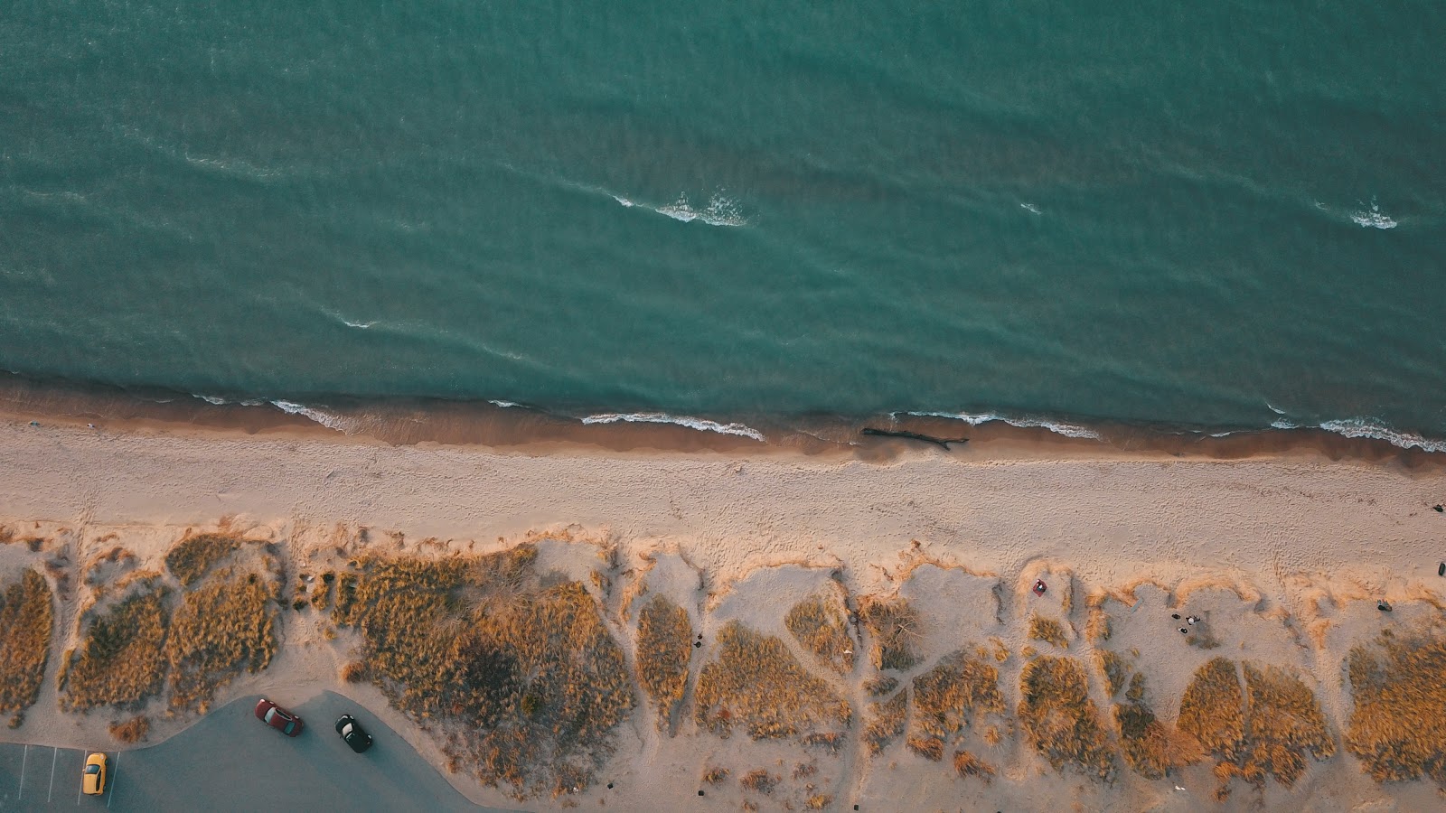 Foto av Oval Beach med turkos rent vatten yta