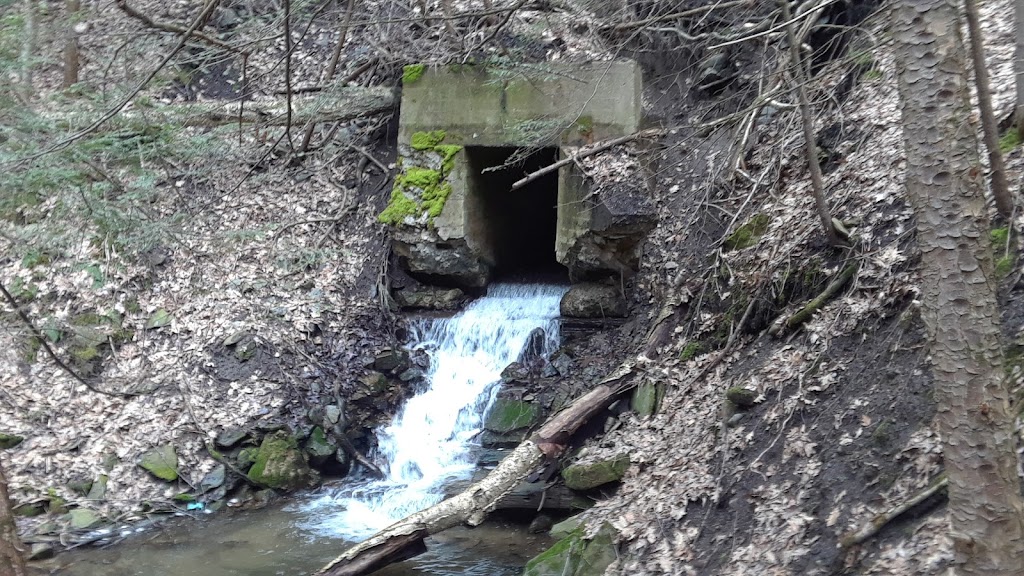 Healing Hands of CNY 13037