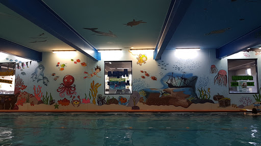 Swimming courses for babies in Adelaide