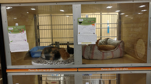 Pet Supply Store «PetSmart», reviews and photos, 555 S Cotton Ln, Goodyear, AZ 85338, USA