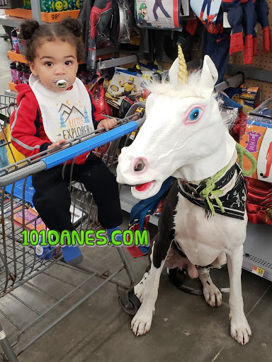 Department Store «Walmart Supercenter», reviews and photos, 1660 Tappahannock Blvd, Tappahannock, VA 22560, USA