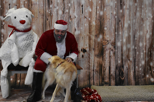 Pet Supply Store «Thomaston Feed of Cheshire», reviews and photos, 851 S Main St, Cheshire, CT 06410, USA