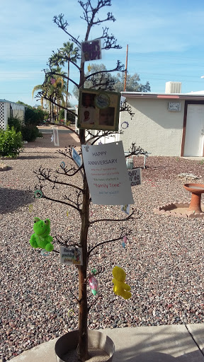 Country Club «Fountain of the Sun Country Club», reviews and photos, 500 S 80th St, Mesa, AZ 85208, USA