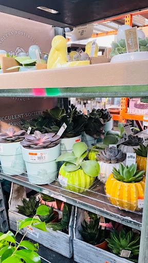 Home Improvement Store «The Home Depot», reviews and photos, 3051 E Main St, Mohegan Lake, NY 10547, USA