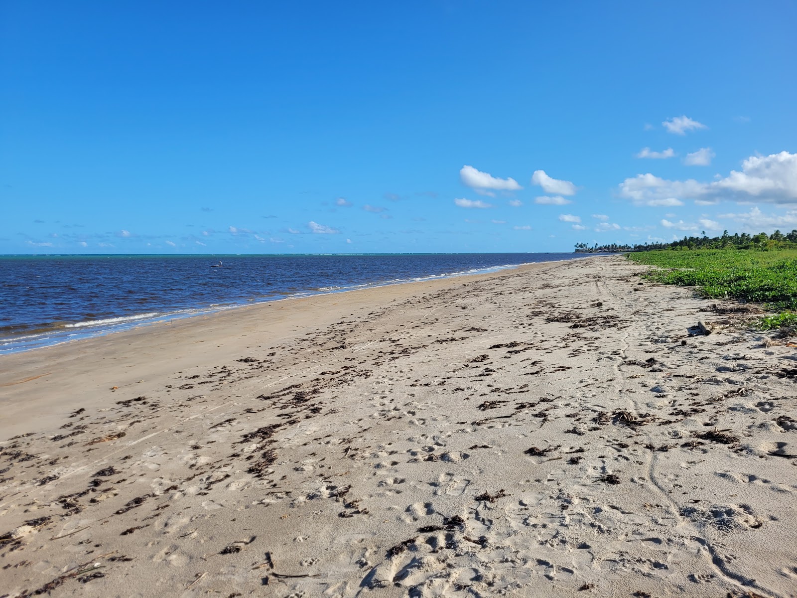 Foto di Praia da Barra de Santo Antonio con una superficie del sabbia beige