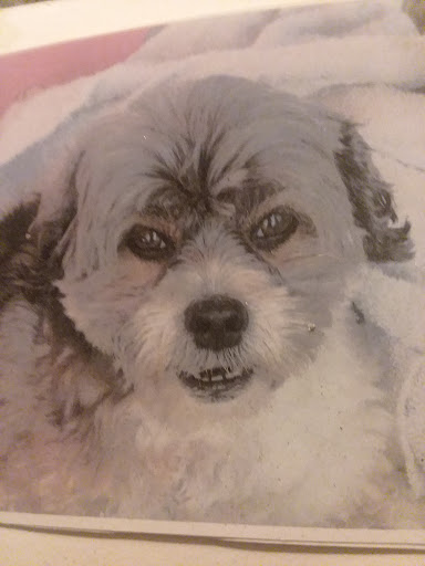 Explore bald eagle tattoo ideas, creative tattoo ideas in Wadena, available at Bryniarski tattoo