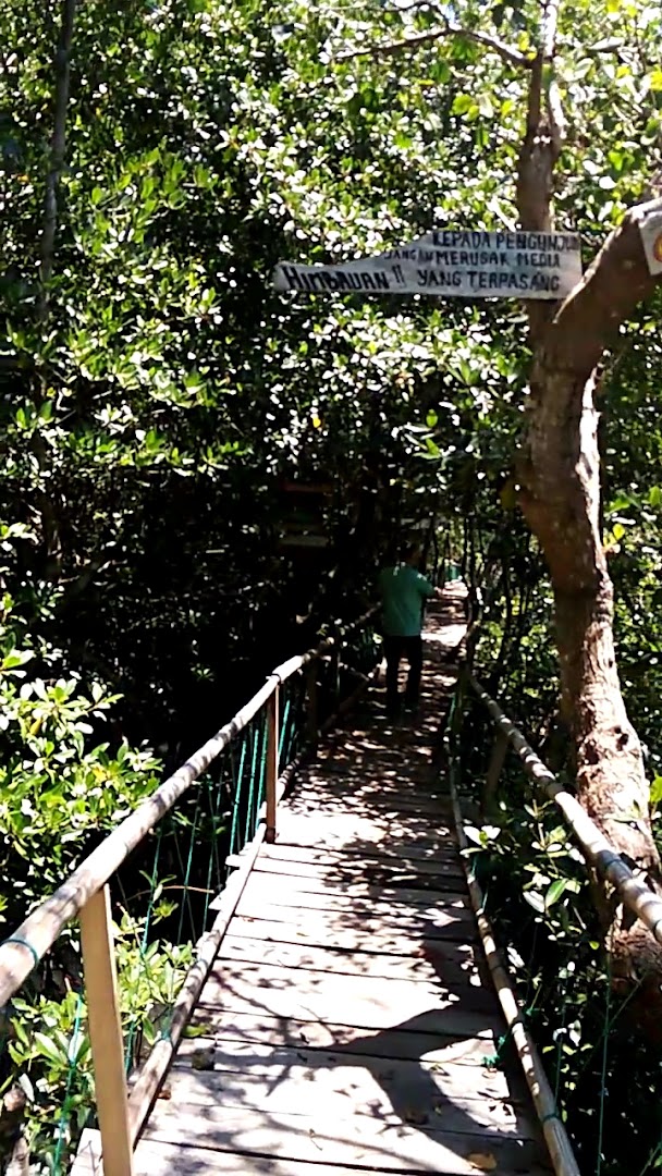 Wisata Mangrove Bendaga