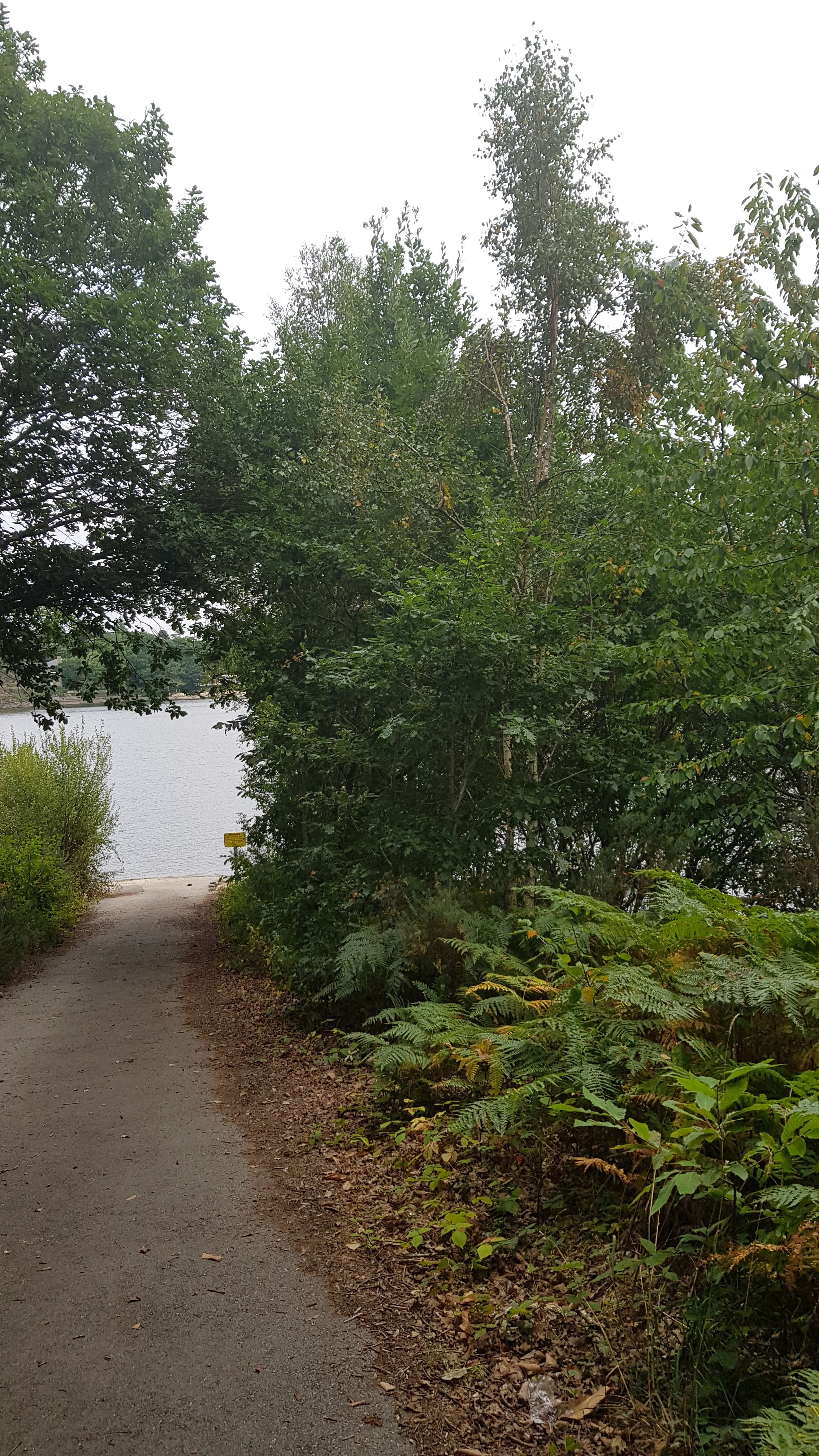 Photo n° 15 de l'avis de Sylvie.e fait le 23/08/2018 à 21:20