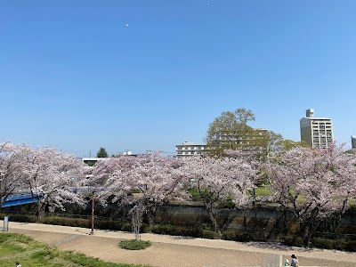 むさしの公園