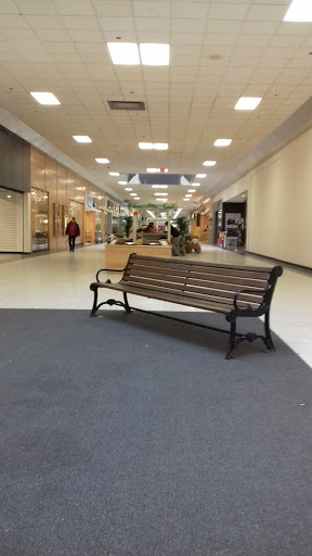Olean Center Mall image 9
