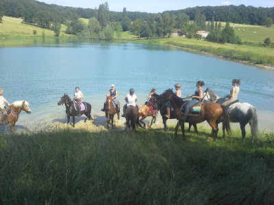 EQUITATION SERVICES 47 à Saint-Caprais-de-Lerm