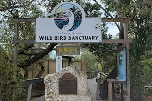 Wild Bird Sanctuary - Florida Keys Wild Bird Center image