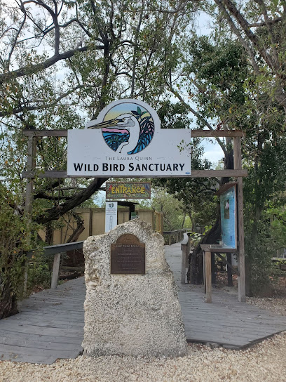 Laura Quinn Wild Bird Sanctuary