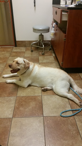 Pet Supply Store «PetSmart», reviews and photos, 2325 S Stemmons Fwy, Lewisville, TX 75067, USA