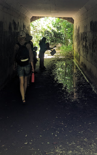 National Park «Blue Ridge National Heritage Area», reviews and photos, 195 Hemphill Knob Rd, Asheville, NC 28803, USA