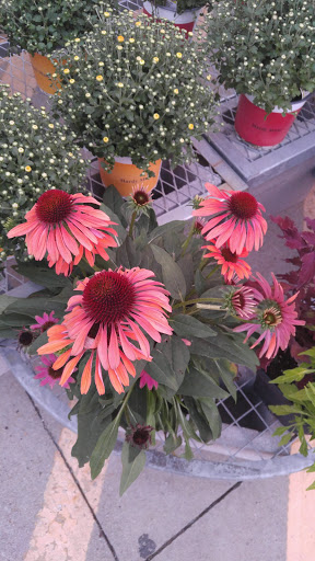 Home Improvement Store «The Home Depot», reviews and photos, 2630 Wilma Rudolph Blvd, Clarksville, TN 37040, USA