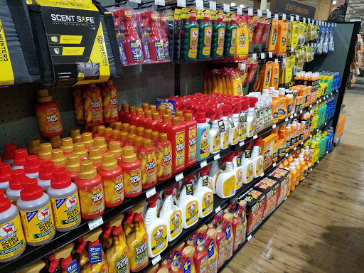 Outdoor Sports Store «Field & Stream», reviews and photos, 800 Brevard Rd #901, Asheville, NC 28806, USA