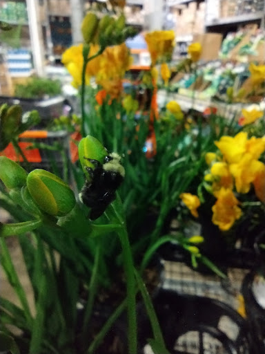 Home Improvement Store «The Home Depot», reviews and photos, 4401 SW 110th Ave, Beaverton, OR 97005, USA