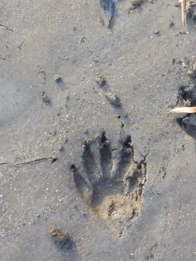 Nature Preserve «White Clay Creek State Park Nature Center», reviews and photos, 1475 Creek Rd, Newark, DE 19711, USA