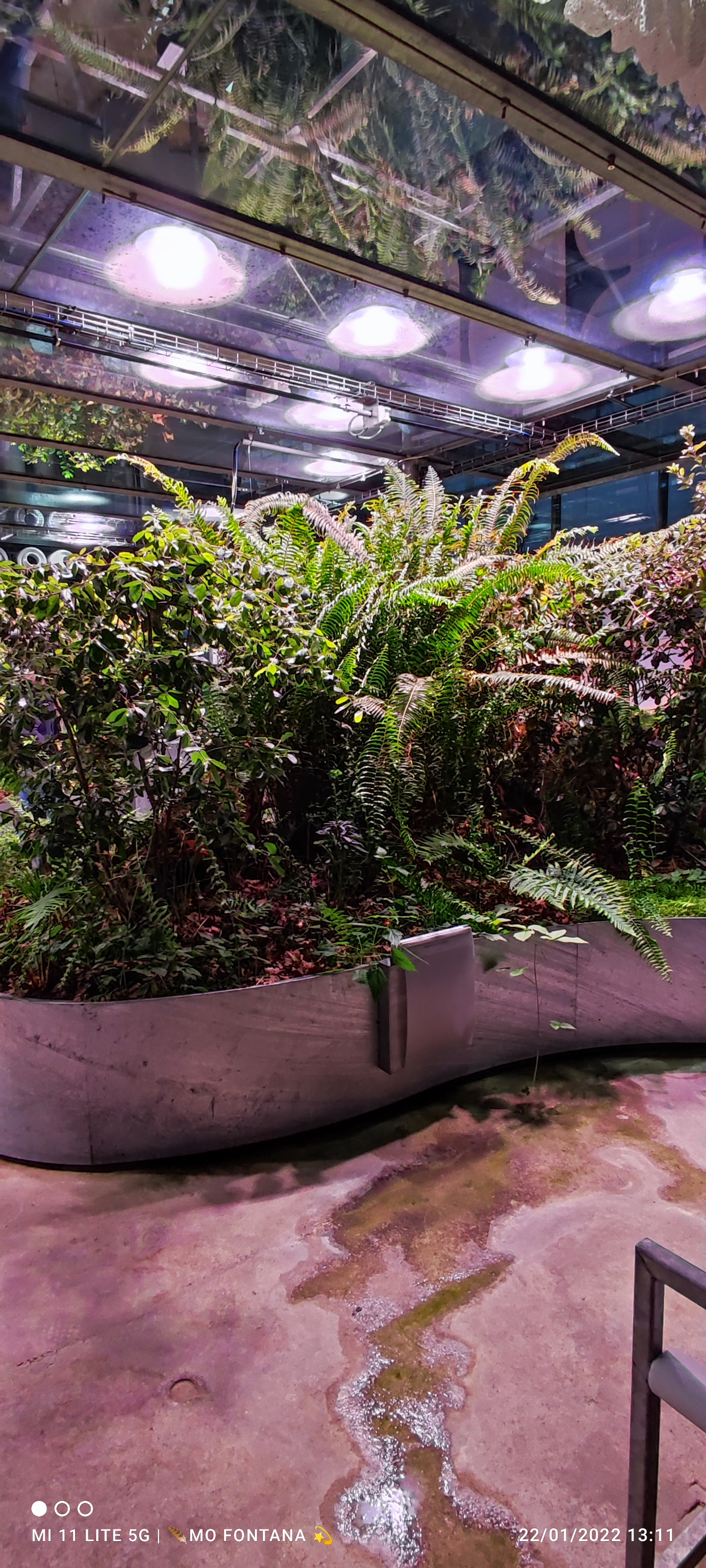 Photo n° 37 de l'avis de monique.O fait le 22/01/2022 à 12:29