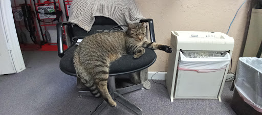 Self-Storage Facility «Montgomery County Self Storage», reviews and photos, 25350 Budde Rd, Spring, TX 77380, USA