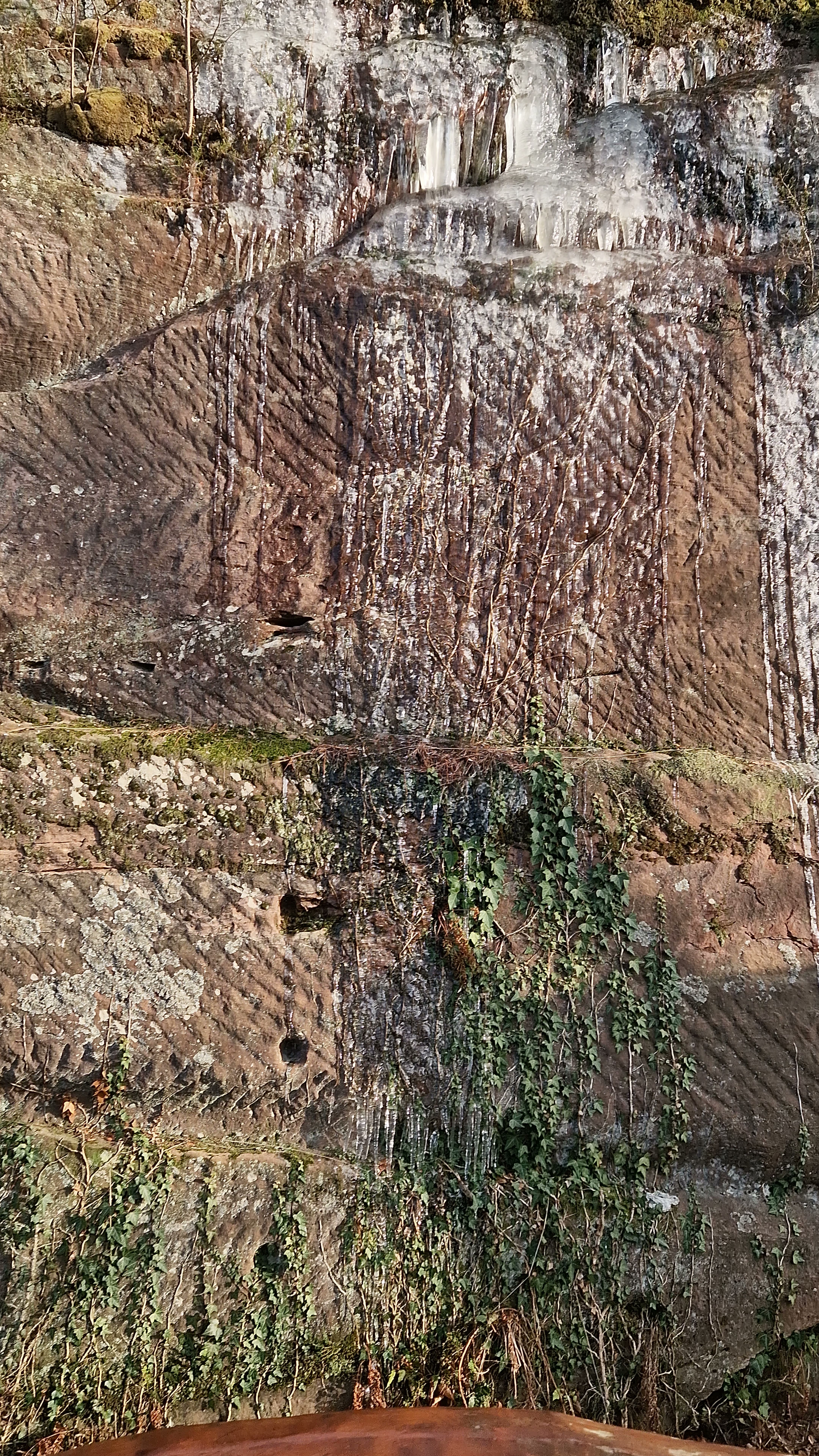 Photo n° 33 de l'avis de Beno. fait le 14/01/2024 à 20:33