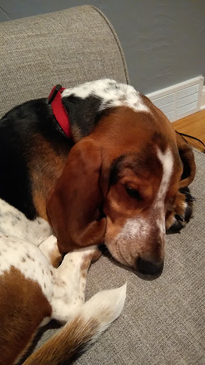 Pet Supply Store «Petco Animal Supplies», reviews and photos, 13691 Ridgedale Dr, Minnetonka, MN 55305, USA