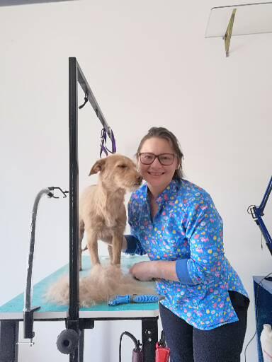 Dr Ju Pet Spa veterinaria y peluquería para mascotas