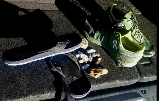 Shoe Store «Shoe Mill», reviews and photos, 401 Center St NE, Salem, OR 97301, USA